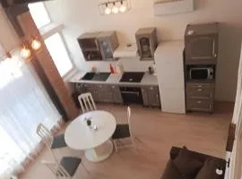 Air-conditioned apartment, 3 rooms, 4 to 6 people, Tarn, Albi, Gaillac, Cordes