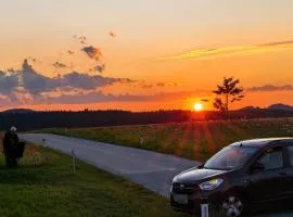 Landhaus auf der Alm