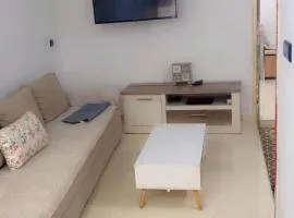 Chic furnished apartment, Center