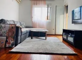 Cozy city apartment Podgorica