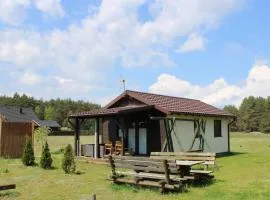 Domki Pod Jarzębiną Borsk