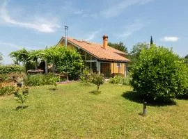 Apartma Oljka Pomjan