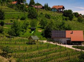 Vineyard cottage Škatlar 3, hotel a Otočec
