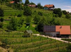 Vineyard cottage Škatlar 3