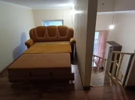 APARTMENT Lib House center Beltsy
