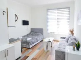 Old Town Rental Apartments