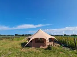 Yurt-tent met privé sanitair