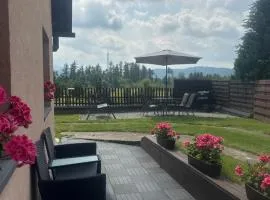 Apartament Pod Leśnym Niebem