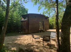 Tiny sur Conie En aparté