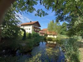 Ferienwohnung Schmid, hotelli kohteessa Waldkirchen