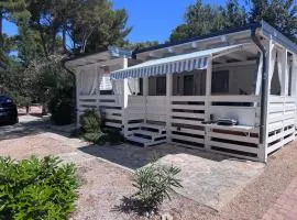 Mobile Home Nelly 775