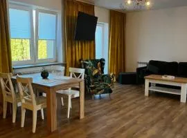 Apartament Sasankowa