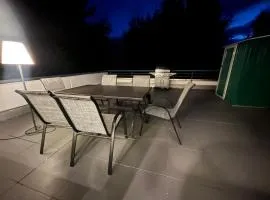 App 624 Panoramic Hohegeiß Terrassenhaus