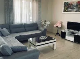 Leoo Home