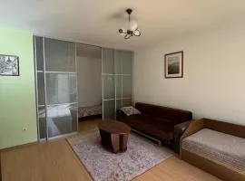 Apartment Santariskes