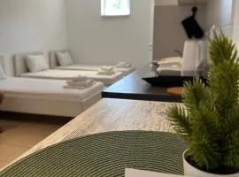 OMIS Rooms