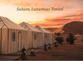 Sahara Luxurious Tented