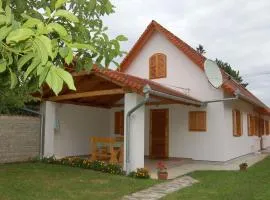 Apartment in Balatonbereny - Balaton 18075