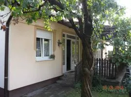 Apartment in Balatonboglar - Balaton 18183