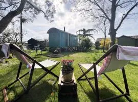 The Hollies Shepherds Hut by The Suffolk Cottage Collection