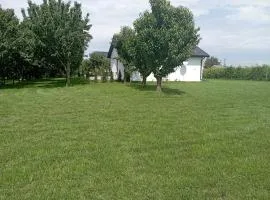 Domki w Winnicy - Świętokrzyska Winnica Knapów