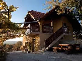 Holiday home in Metlika Kranjska Krain 26051