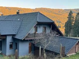 Apartmán U Vachtů - První Patro