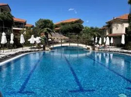 Summer Paradise in Laguna Beach Hotel