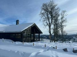 Architectural Gem With Views Of Hallingskarvet, hotell på Ål