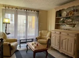 Maison rustique avec poêle à bois, proche montagnes & activités de plein air, animaux acceptés - FR-1-489-52