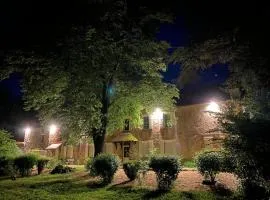 Gîte de charme à Souvigny avec jardin et animaux acceptés - FR-1-489-583