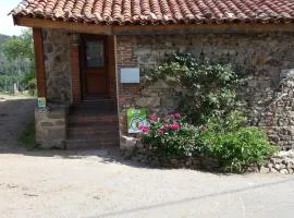 Charmante maison avec poêle et salon ombragé à Pralong - FR-1-496-261