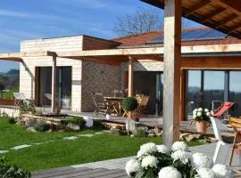 Gîte en bois avec piscine naturelle, 3 chambres avec terrasses privatives - FR-1-496-258