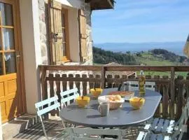 Gîte rénové avec cheminée et jardin à 15 km des pistes de ski - FR-1-496-9