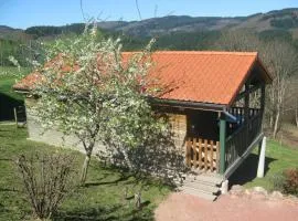 Charmant chalet 35m², 2 ch, terrasse privée, activités nature aux Monts de la Madeleine, animaux OK - FR-1-496-240