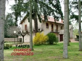 Gîte charmant à Saint-André-d'Apchon, animaux admis - FR-1-496-366