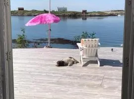 Historic Cabin By The Atlantic Ocean Road