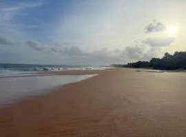 Shine Wave Turtle Beach