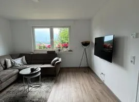 Newly renovated city apartment