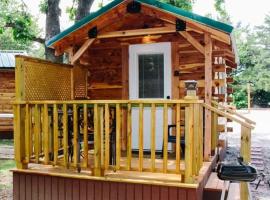 #4 - Amish Log Camping Cabin Walk to the Water cabin, cabin in Toronto