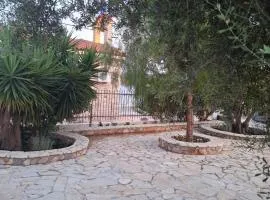 Oasis Studios AG PANTES