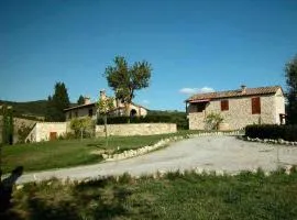 Apartments in Asciano - Toskana 24096