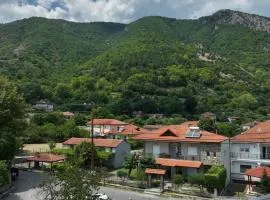 Zeni Pozar