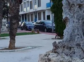 Apartament Dariusz Torrevieja