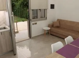 Oasis Apartments 2