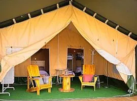 Glamping Safari Style
