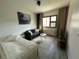 Cozy apartment near the city center with parking