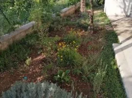 Holiday home in Starigrad-Paklenica 6797