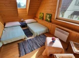 House with sauna near of lake Viljandi