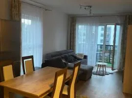 Apartament Torun Jar